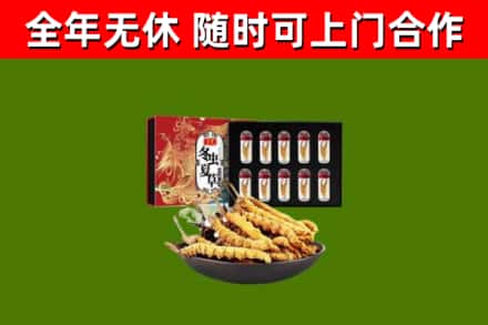 三元回收冬虫夏草价格