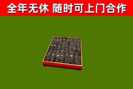 三元回收海参